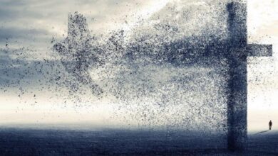 Cross Border Migration Policies