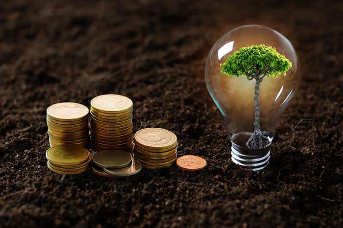 Sustainable Fashion Industry Growth