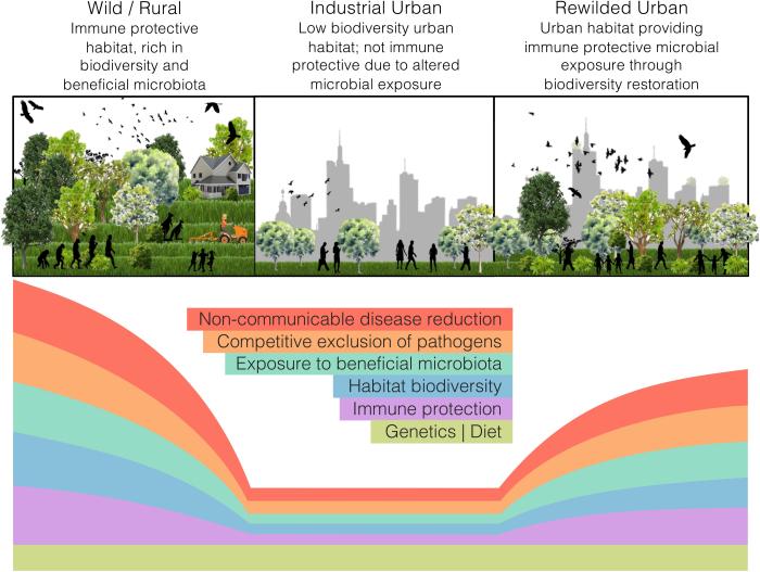 Population growth and urbanization in Botswana | The proport… | Flickr