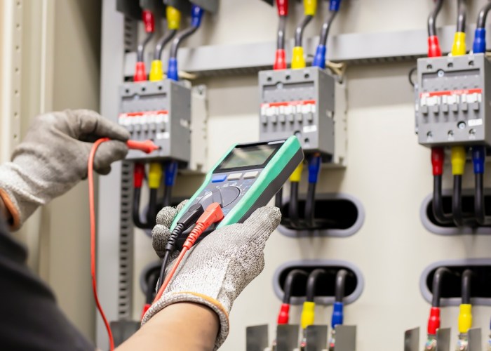 Electric Vehicle Adoption Rate